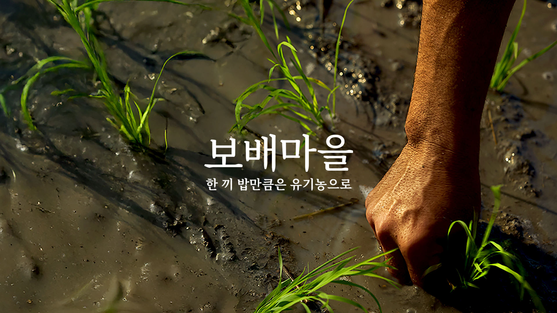 친환경 양곡 브랜드 보배마을 론칭